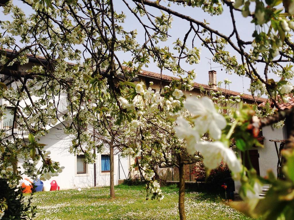 Appartement Casa Romea à Cividale del Friuli Extérieur photo